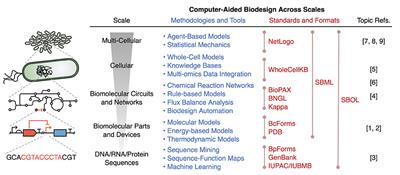 Editorial: Computer-Aided Biodesign Across Scales